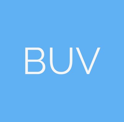BUV Company Limited logo